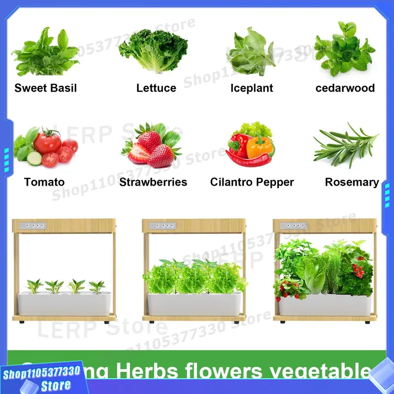 Kit de Jardim Hidropônico Inte - Indoor Herb Garden Grow Light Smart Kit avaliação e preço