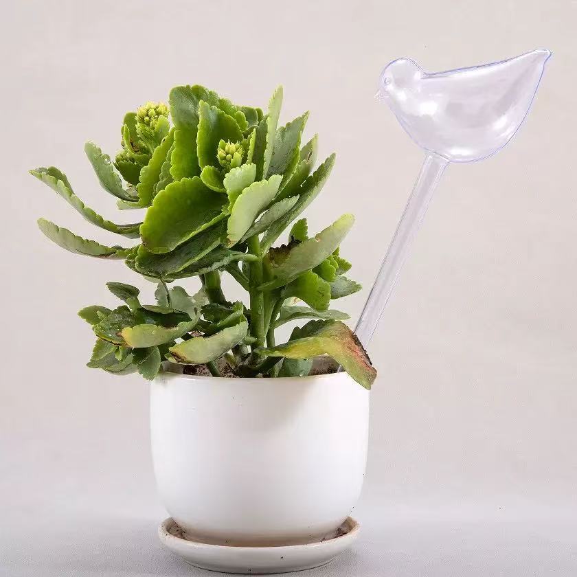 4/8 Peças Dispositivo de Irrig - Automatic Plant Watering Spikes Drip Kit avaliação e preço