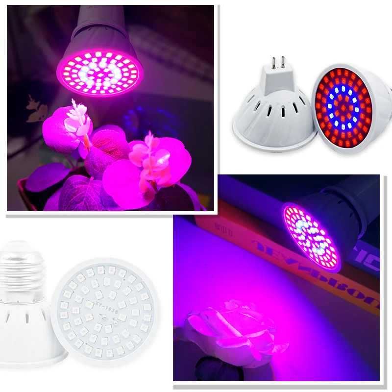 Phyto lâmpada espectro complet - Plant Grow Light Full Spectrum Clip On avaliação e preço