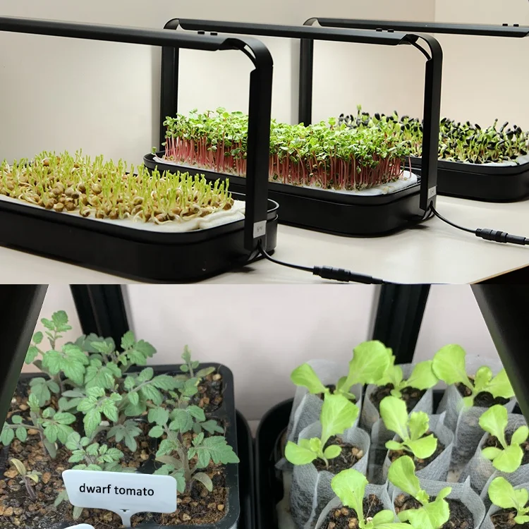 Sistema de Cultivo Doméstico I - Indoor Herb Garden Grow Light Smart Kit avaliação e preço