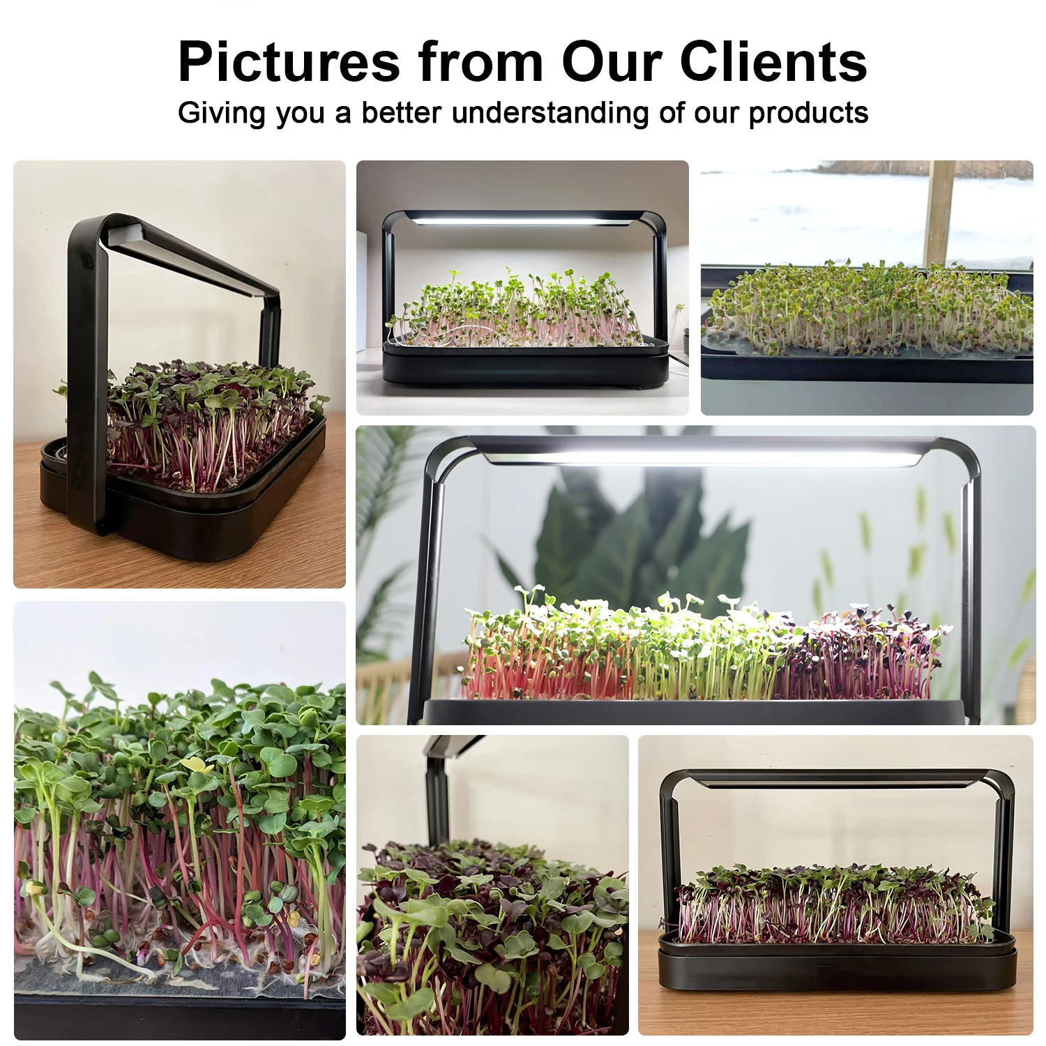 Sistema de Cultivo Doméstico I - Indoor Herb Garden Grow Light Smart Kit avaliação e preço
