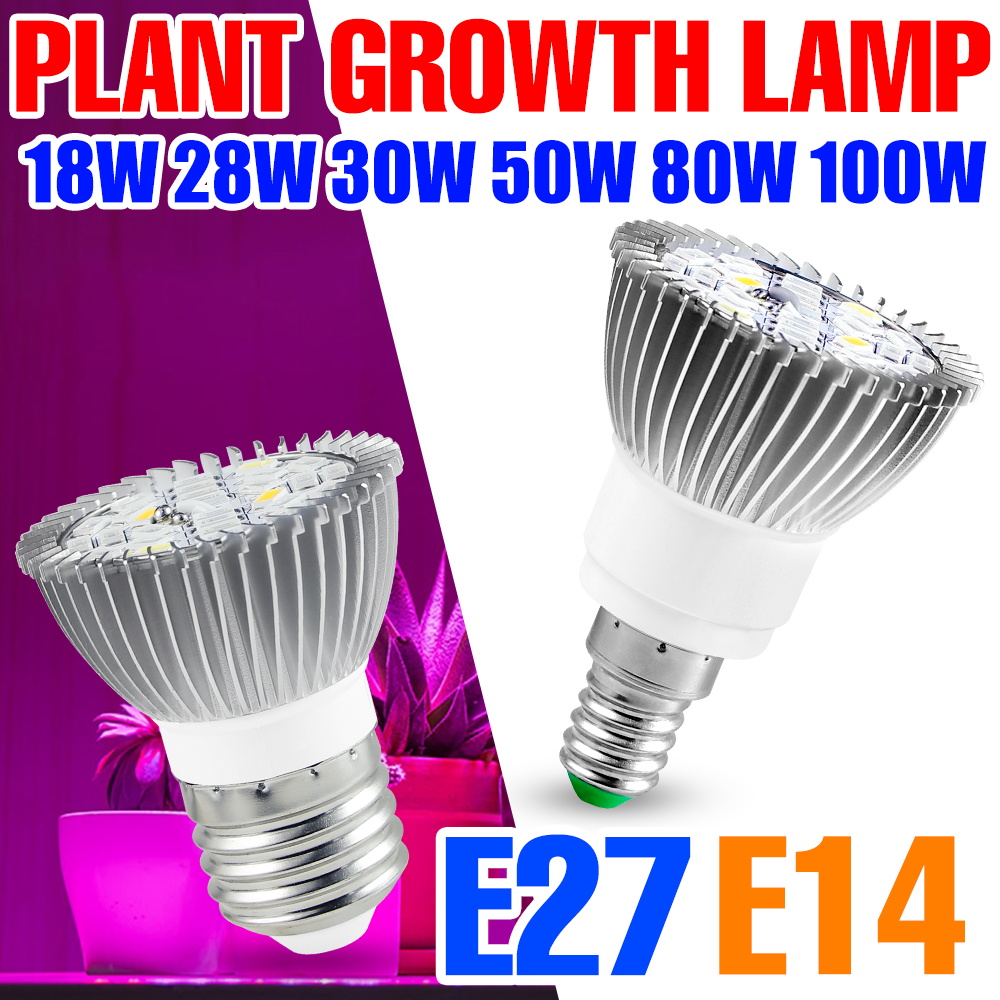 Lâmpada LED de Crescimento par - Plant Grow Light Full Spectrum Clip On avaliação e preço