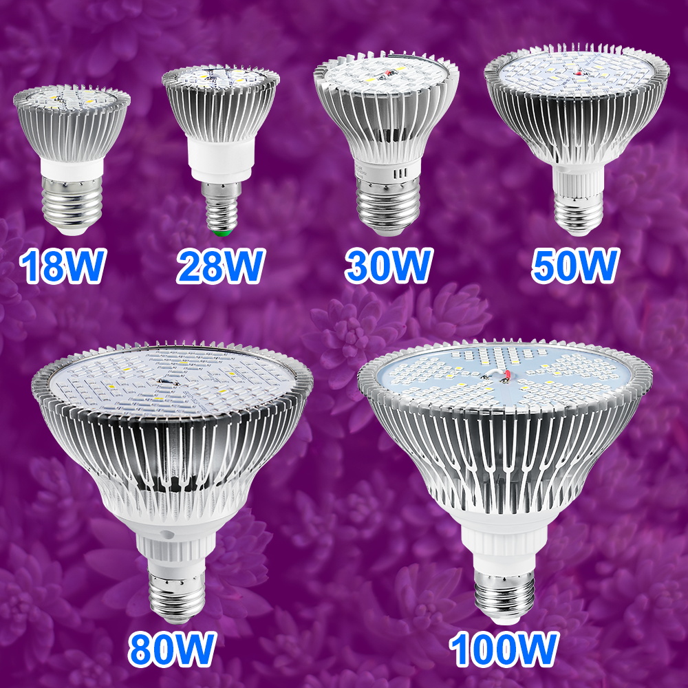 Lâmpada LED de Crescimento par - Plant Grow Light Full Spectrum Clip On avaliação e preço