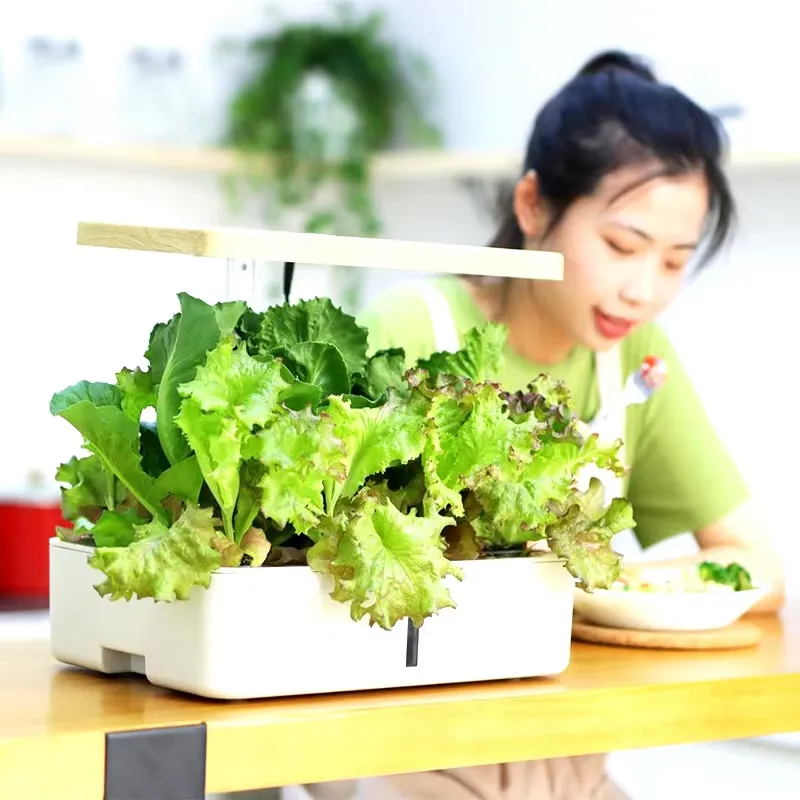 Kit de Jardim Hidropônico Inte - Indoor Herb Garden Grow Light Smart Kit avaliação e preço