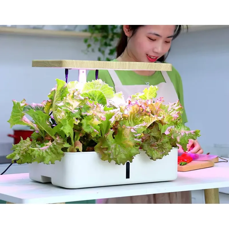 Kit de Jardim Hidropônico Inte - Indoor Herb Garden Grow Light Smart Kit avaliação e preço