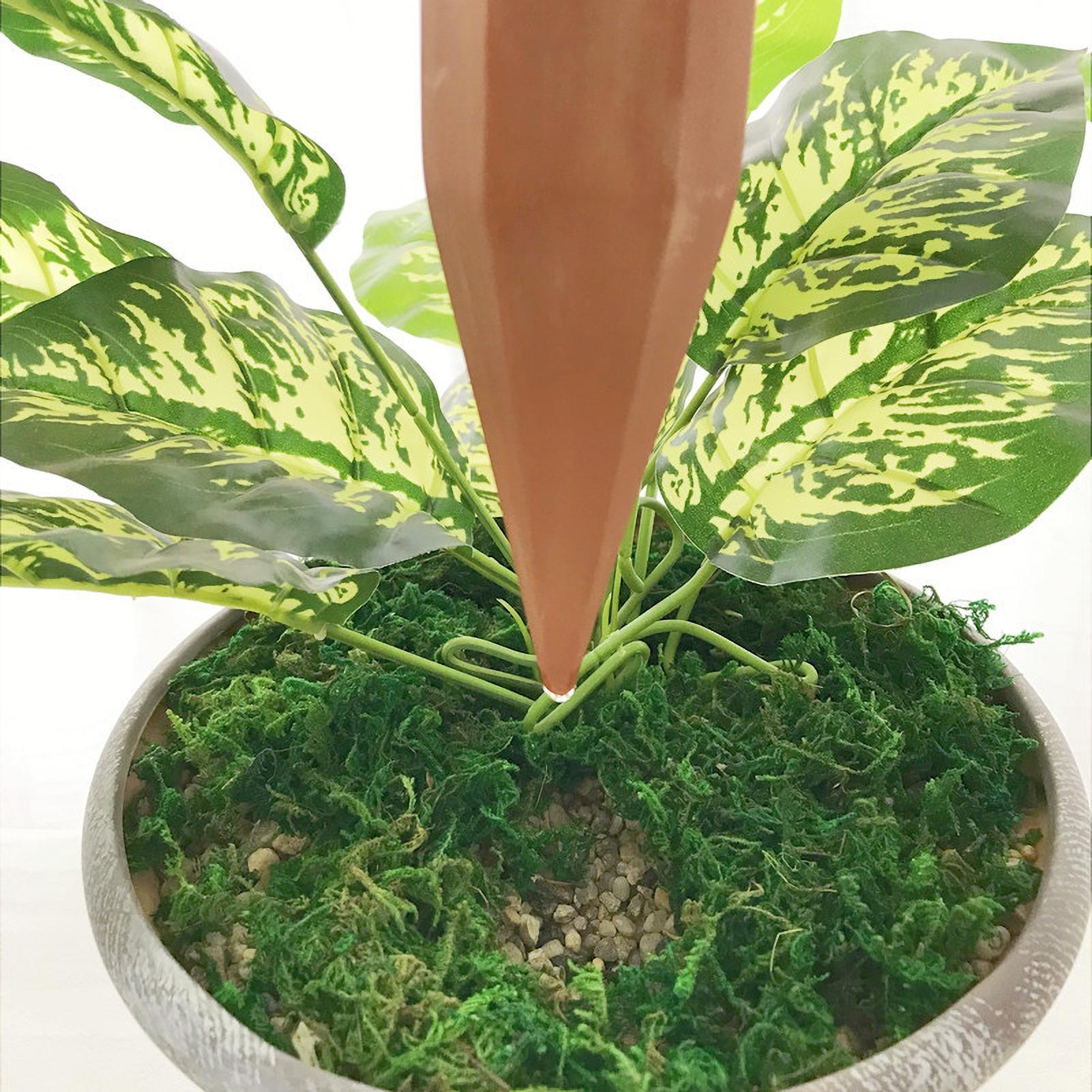 Estacas de Irrigação Verticais - Automatic Plant Watering Spikes Drip Kit avaliação e preço