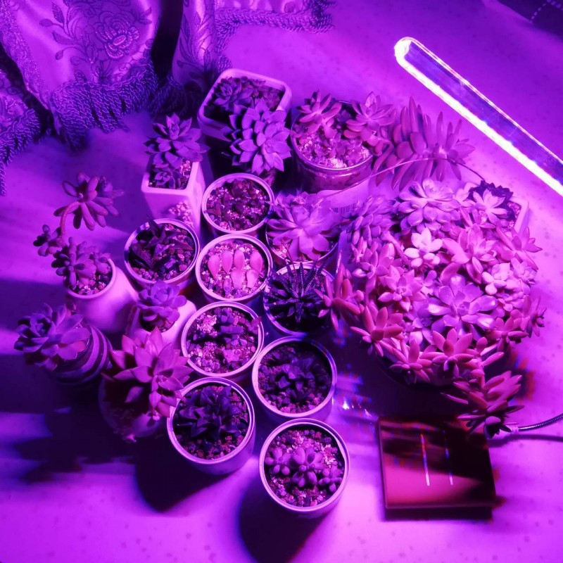 Portátil USB LED Planta Cresce - Plant Grow Light Full Spectrum Clip On avaliação e preço
