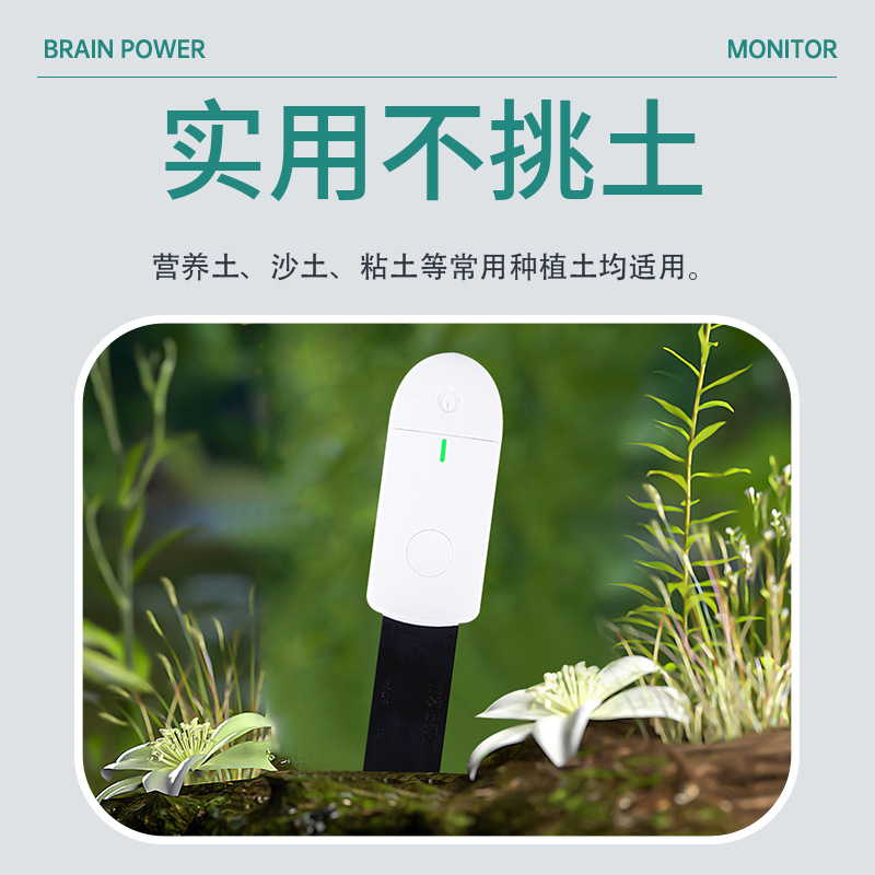 Medidor de Umidade do Solo Int - Smart Plant Sensor Soil Moisture Meter avaliação e preço