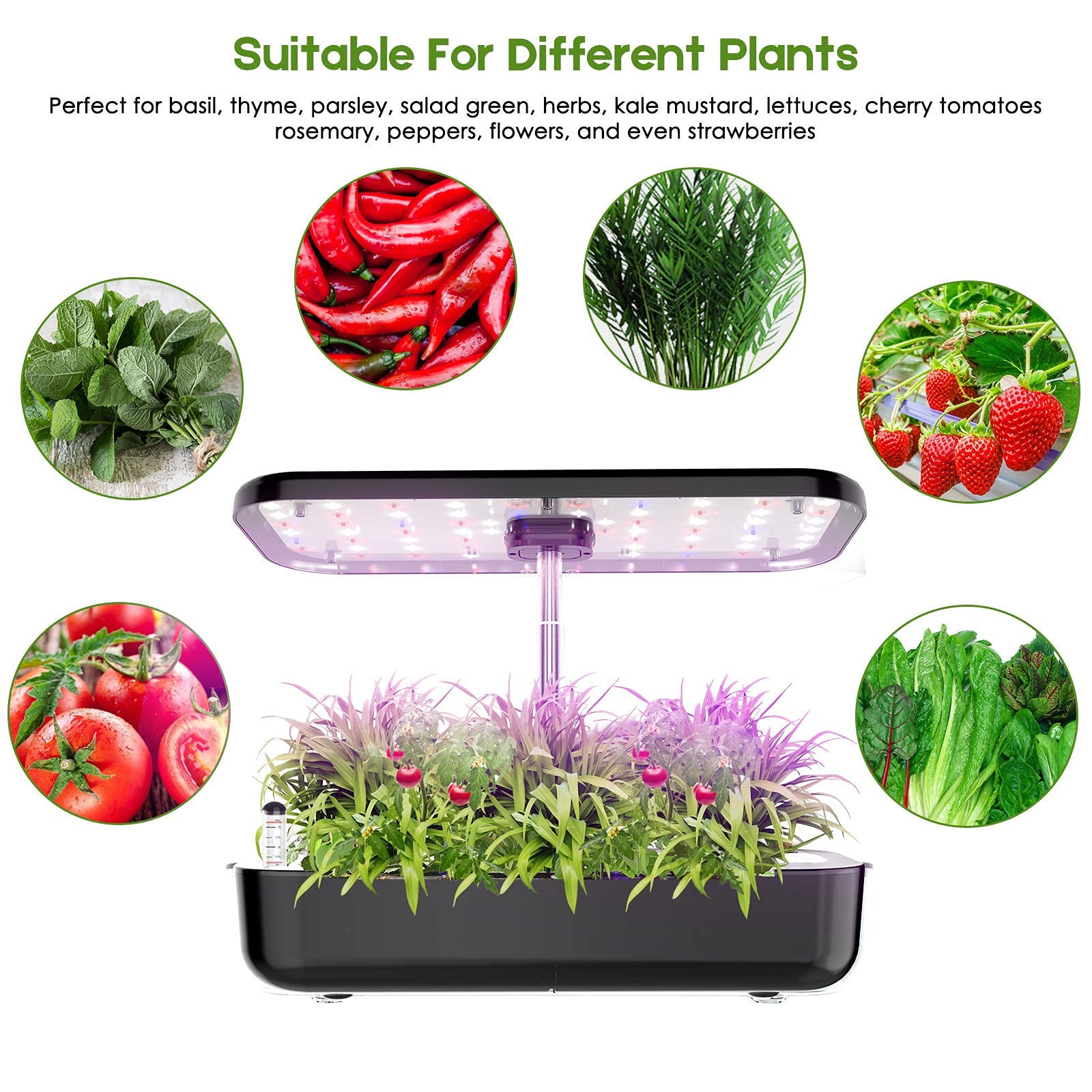 Hidroponia sistema de cultivo  - Indoor Herb Garden Grow Light Smart Kit avaliação e preço
